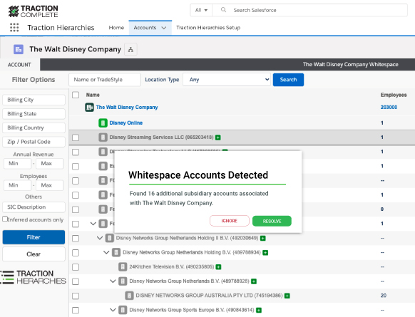 whitespace account detected account hierarchy