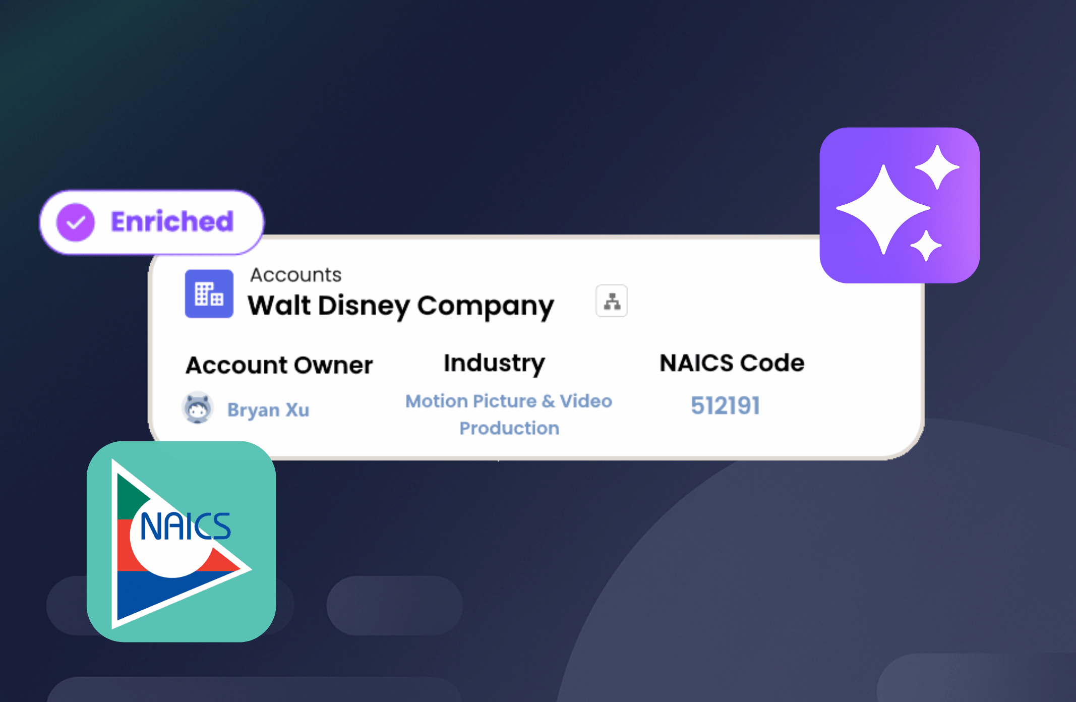 A stylized image showing Complete AI enriching Salesforce accounts with NAICS codes, industry details, and firmographic data.