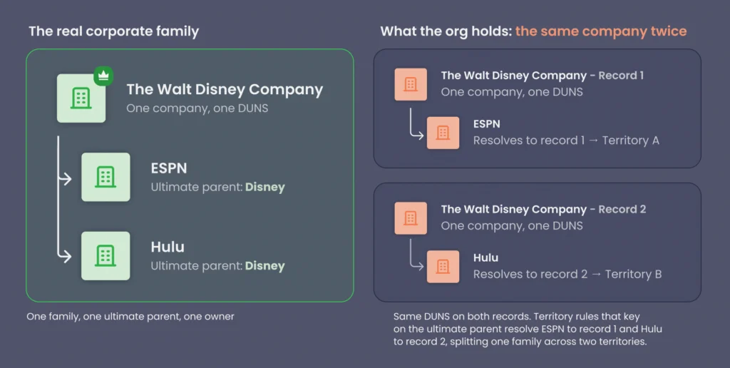 Diagram of duplicate ultimate parents in Salesforce: the real Disney corporate family with ESPN and Hulu under one parent, beside an org holding Disney twice, with each subsidiary resolving to a different record.